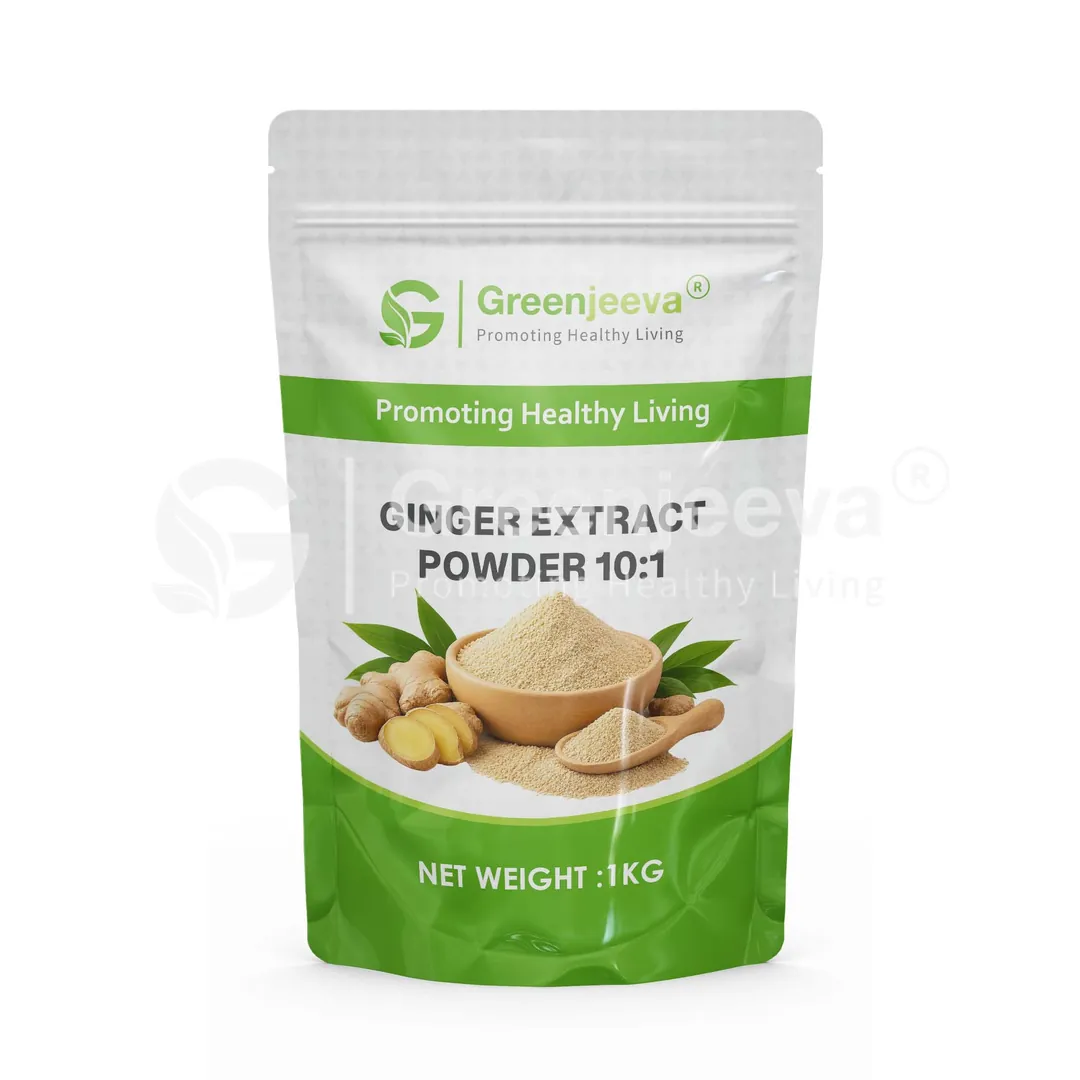 Ginger Extract Powder 10 1 Pouch Ginger Extract Powder 10 1 Pouch